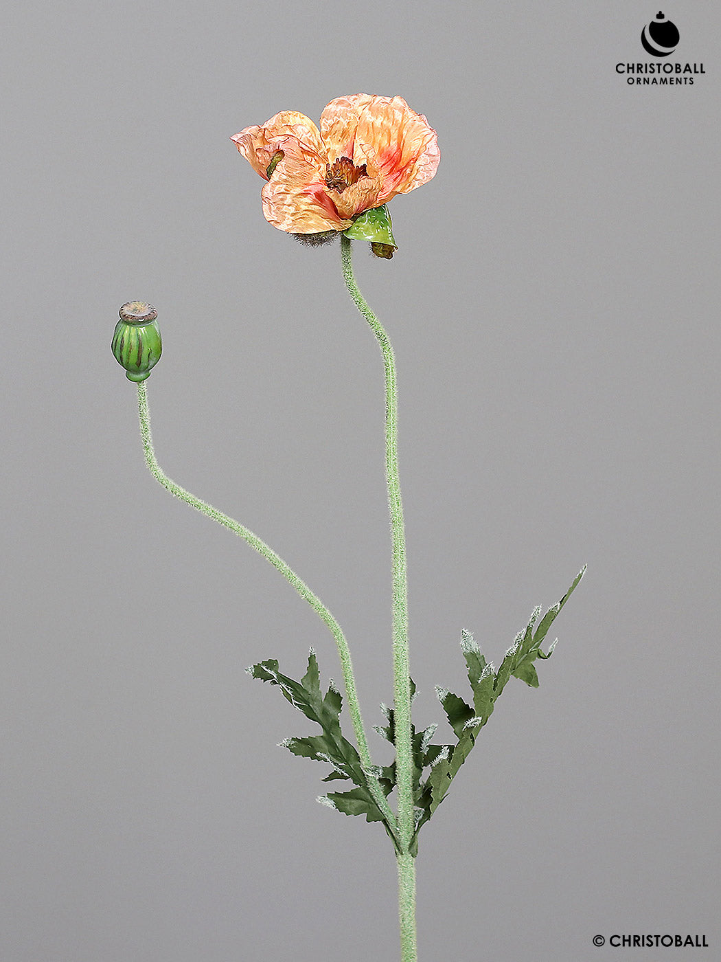 Dekoblume - Mohnzweig mit Blüte und Mohnkapsel, Apricot