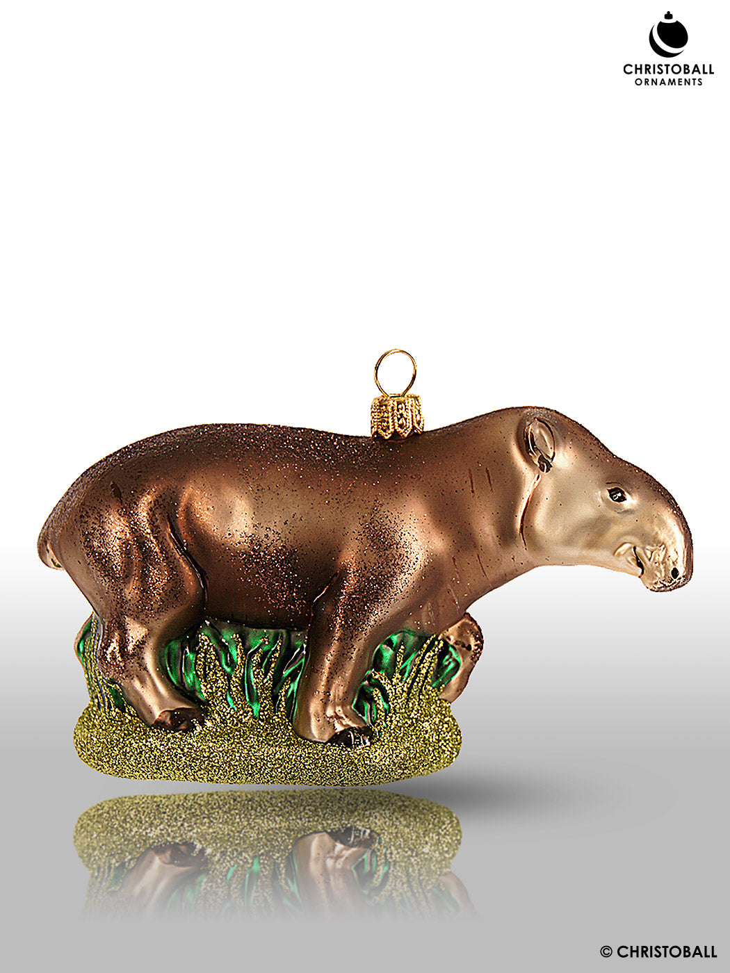 Tapir