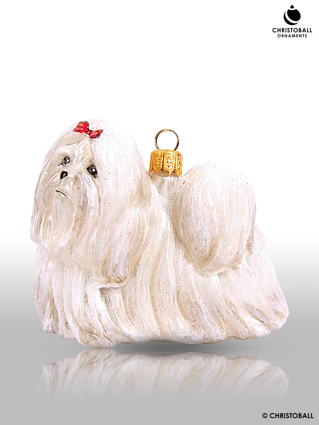 Hund - Shi Tzu