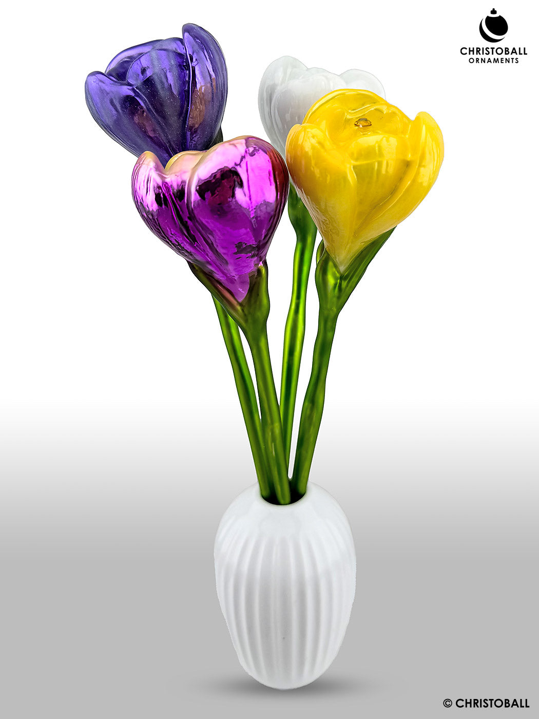 Krokus Blüte mit Stiel - Gelb