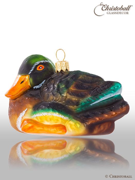 Ente, Stockente