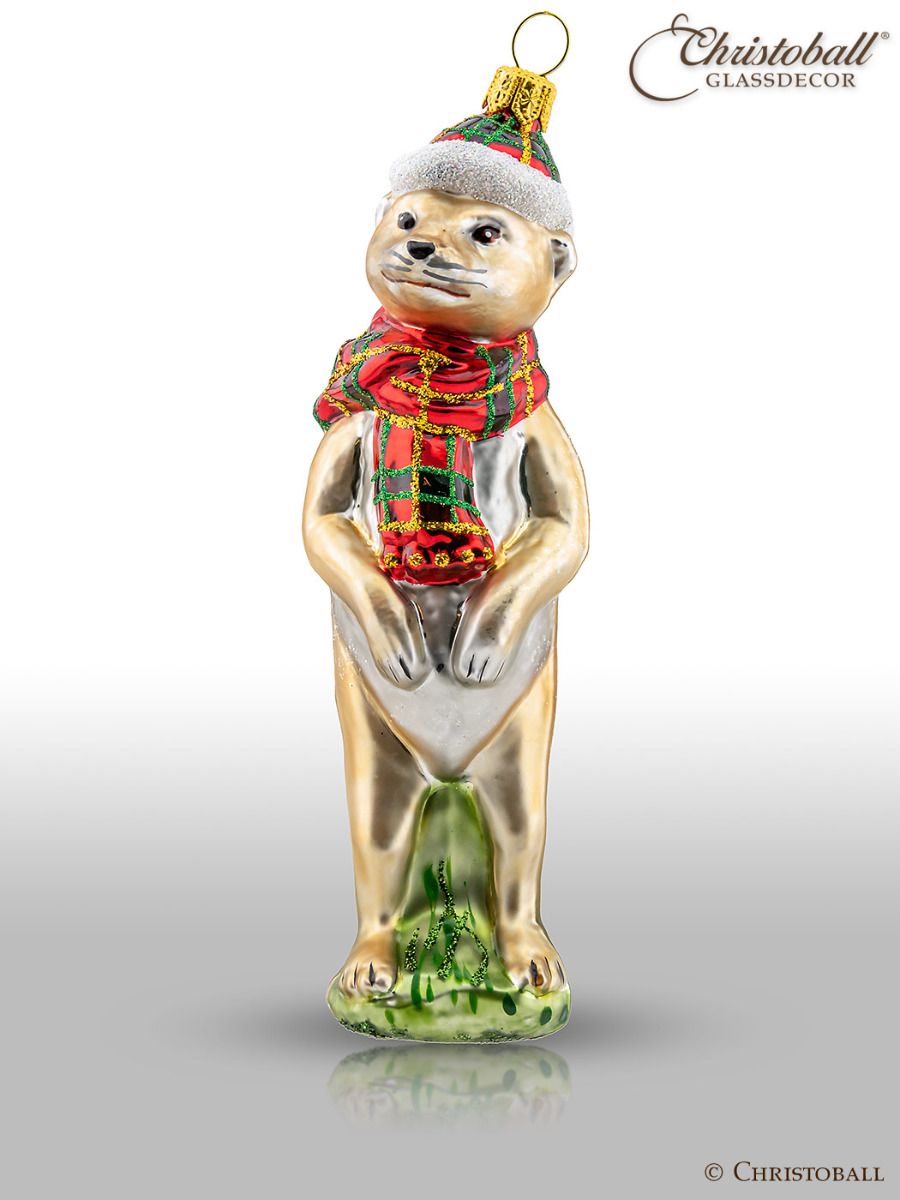 Erdmännchen mit Schal