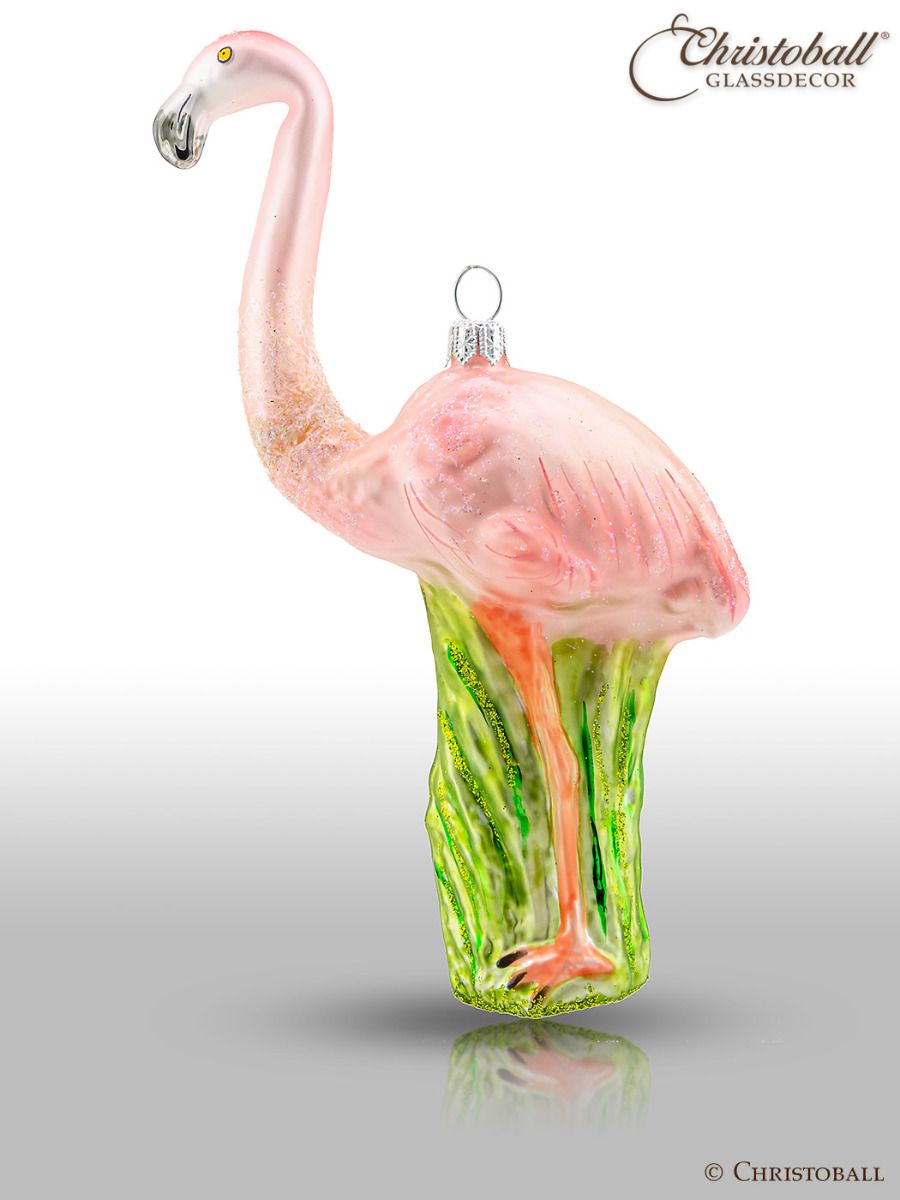 Flamingo, Vogel
