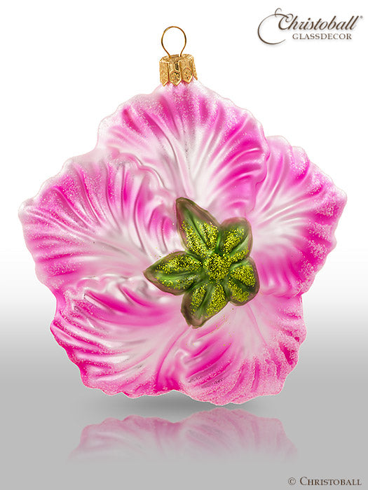 Hibiskus-Blüte / Rosa-Pink