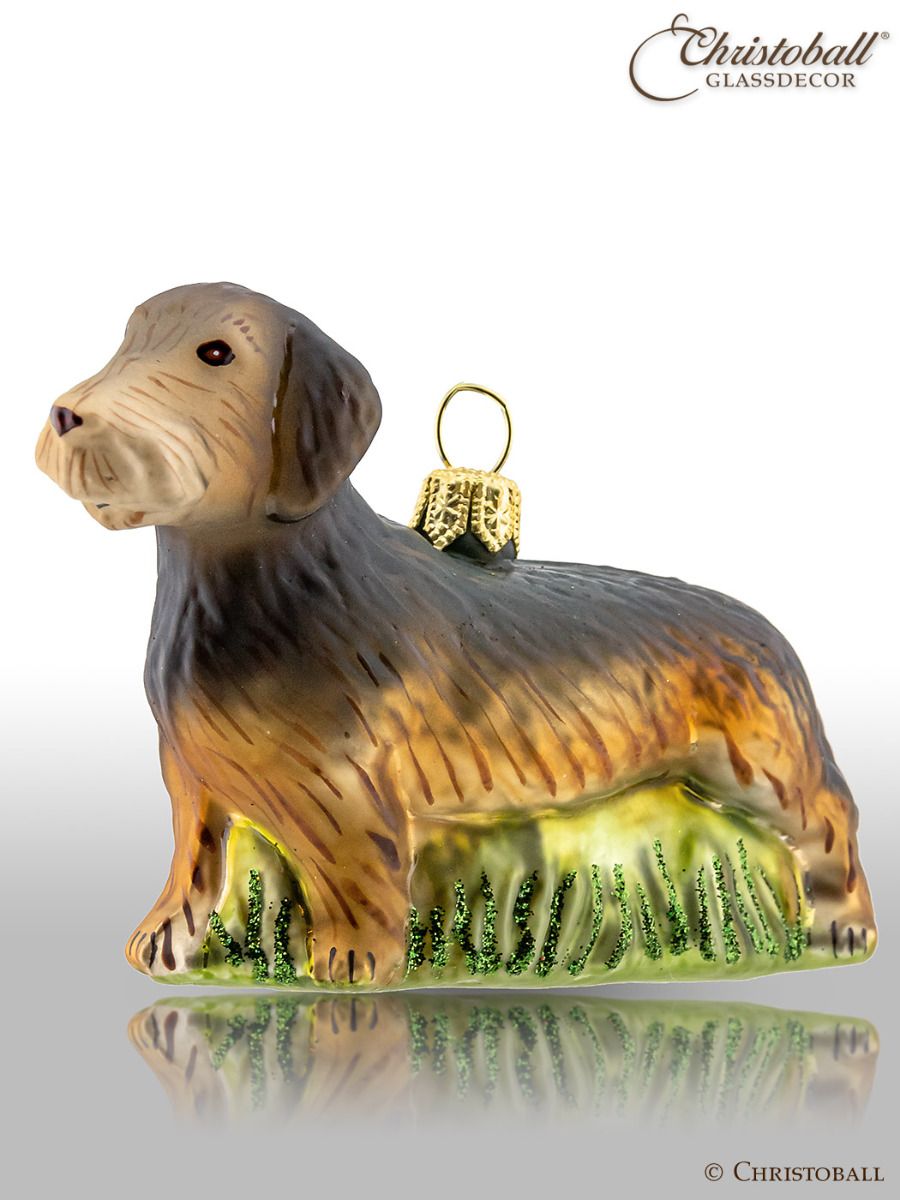 Hund - Rauhaardackel