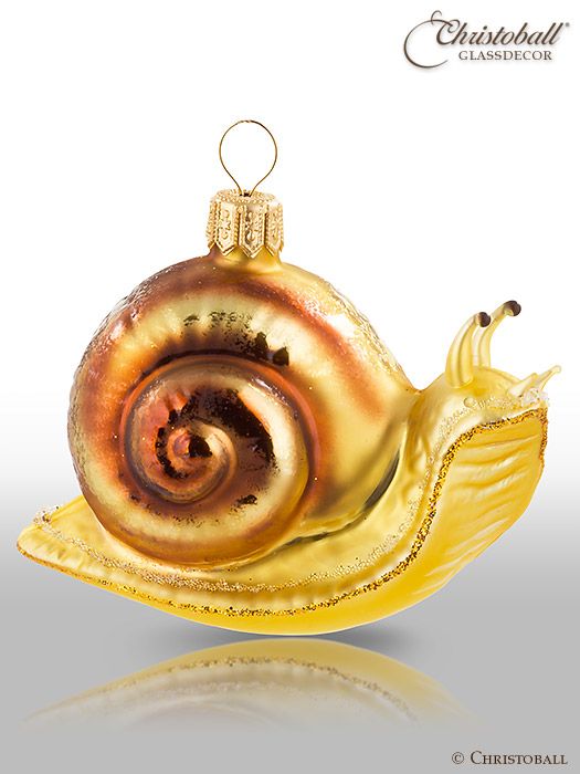 Weinberg-Schnecke