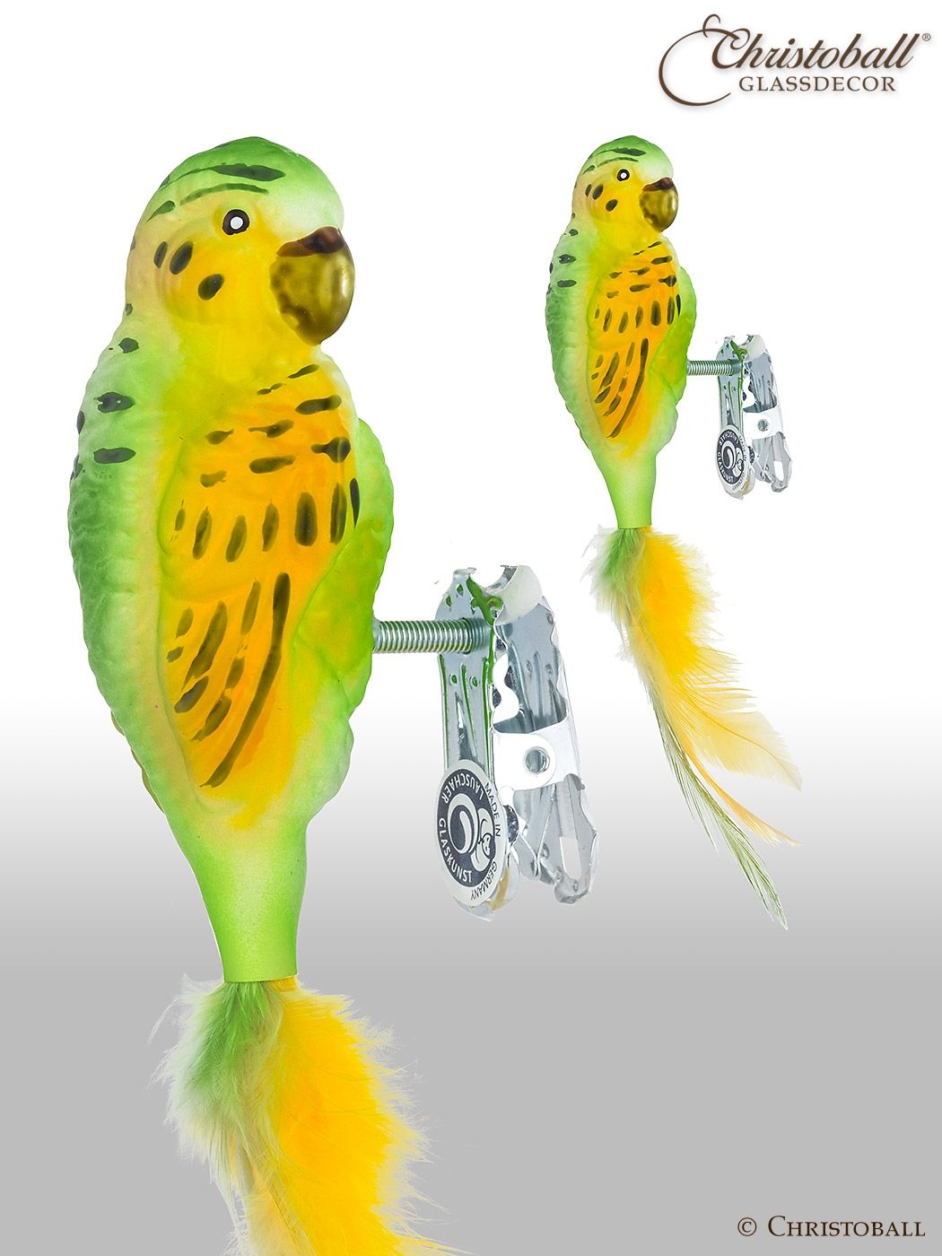 Wellensittich mit Clip