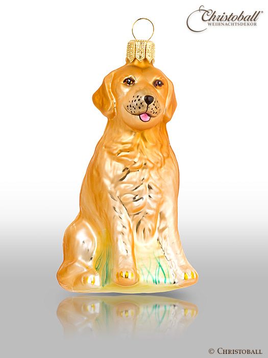 Hund - Golden Retriever