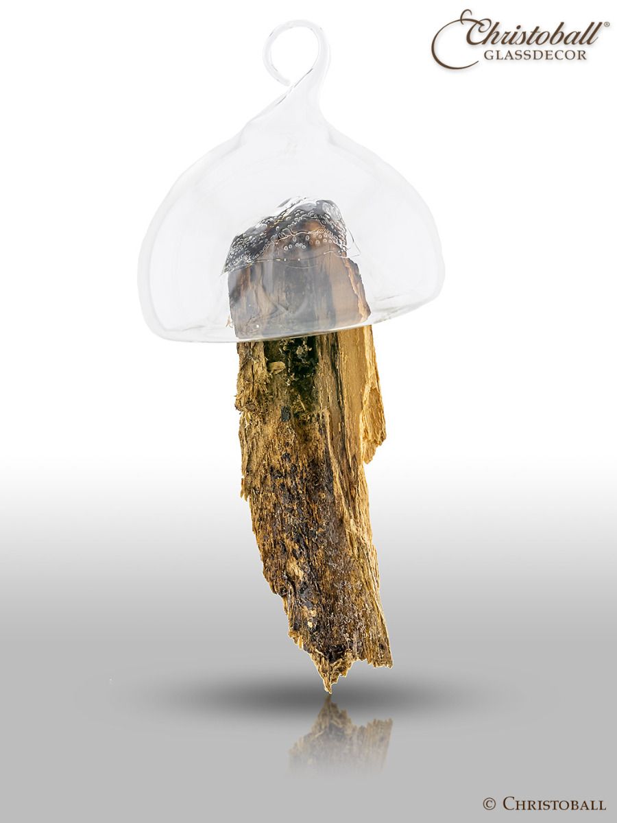 Glass Hood mit Holzstück