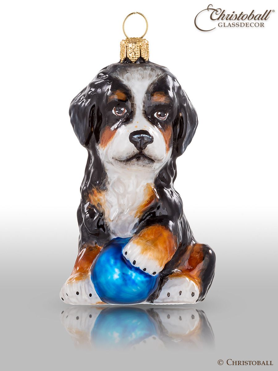 Miscellaneous Kollektion - Berner Sennen, Welpe, Hund