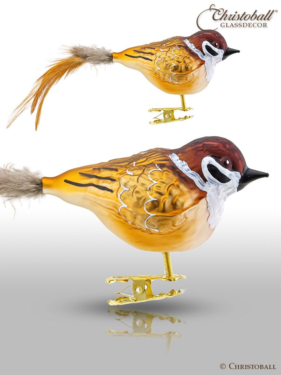 Feldsperling, Sperling mit Clip