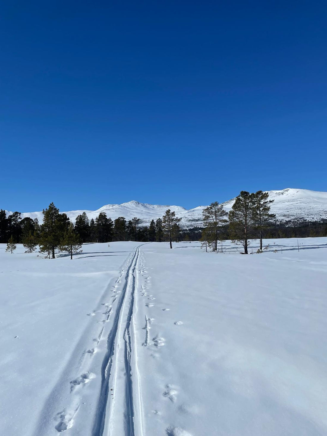 Wir machen kurzen Winterurlaub vom 23.01.-31.01.2025