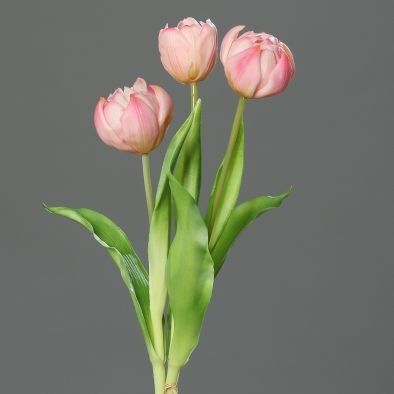 Dekoblume - Päonien-Tulpen, 3er Bündel, Rosa