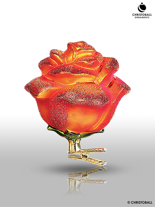 Rosenblüte mit Clip