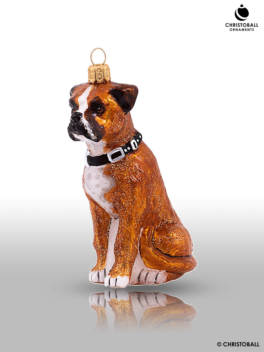Hund - Boxer
