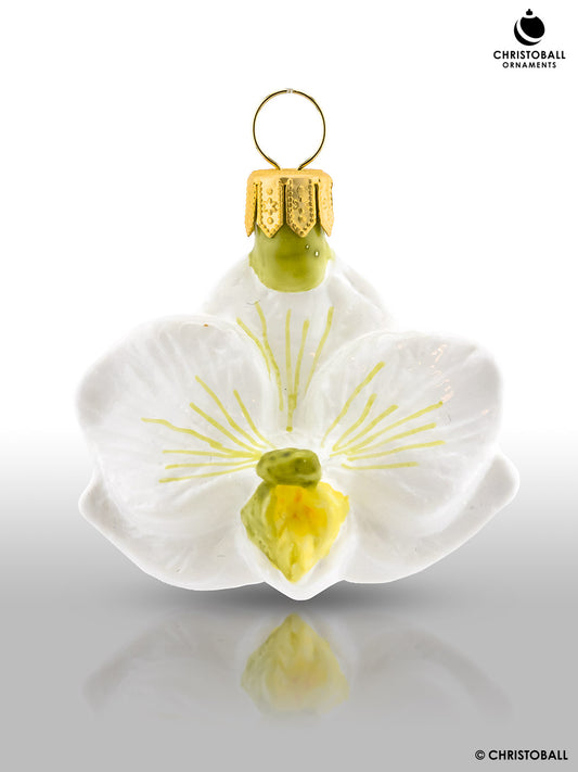 Kleine Orchideen-Blüte