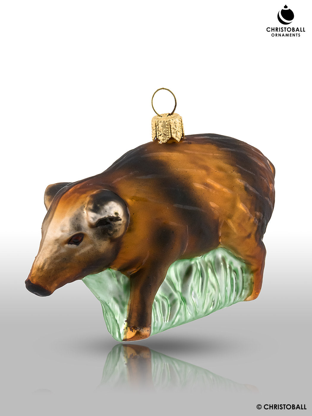 Frischling, junges Wildschweinchen