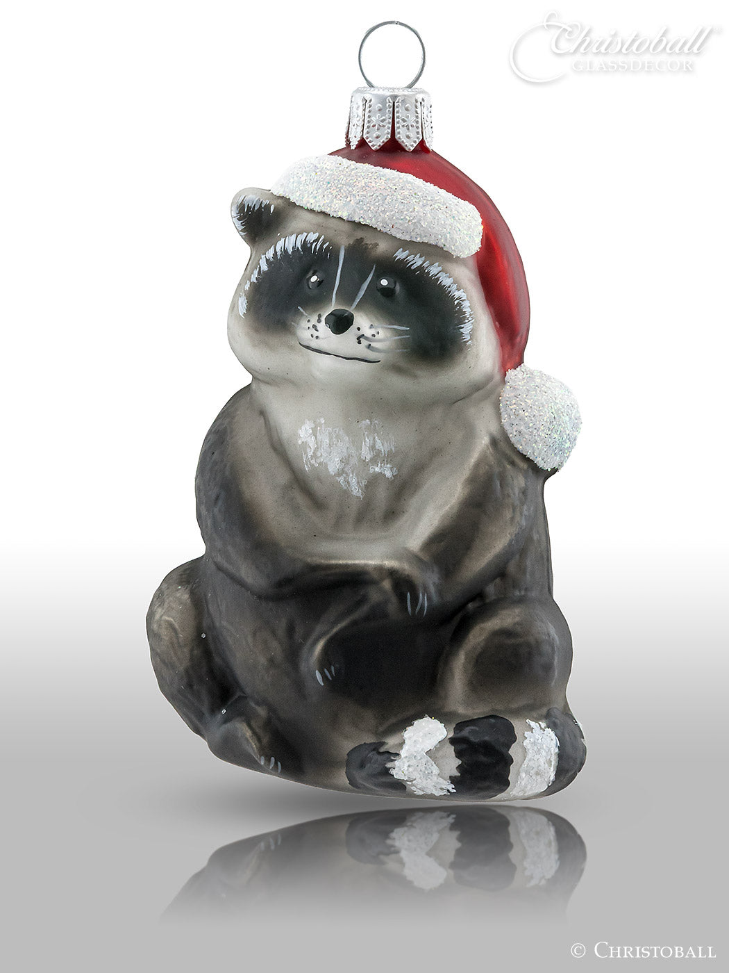 Waschbär mit Weihnachtsmütze