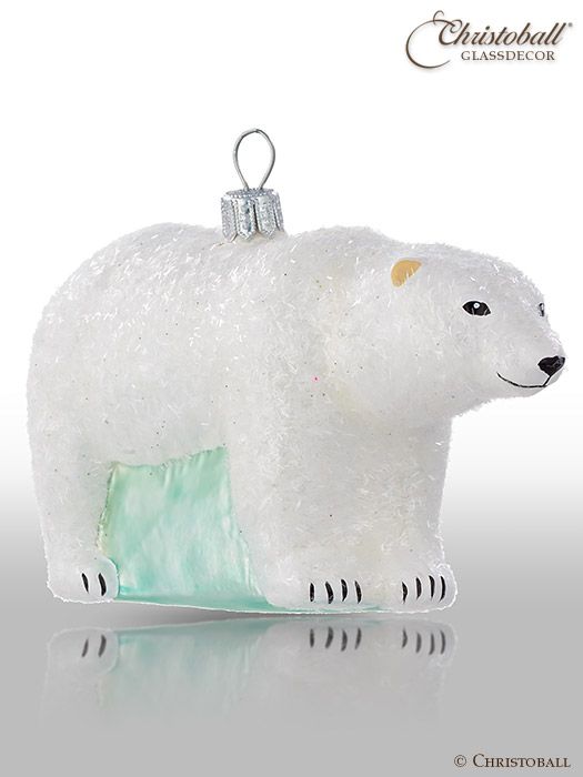 Eisbär, Polarbär