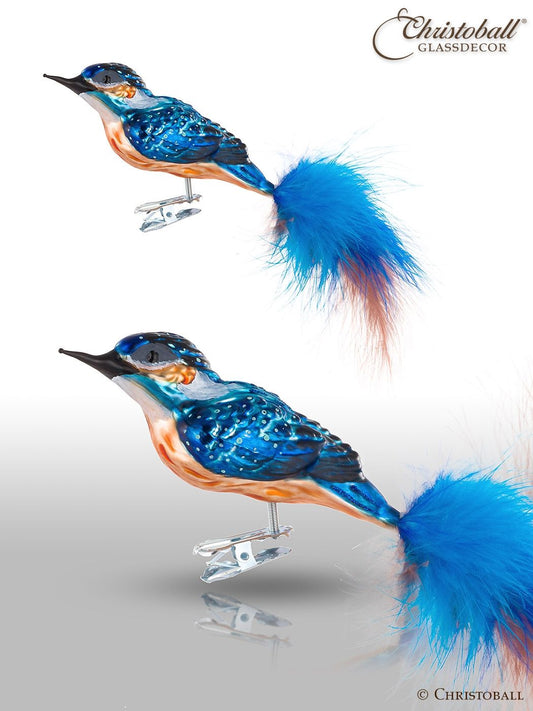 Vogel mit Clip - Eisvogel