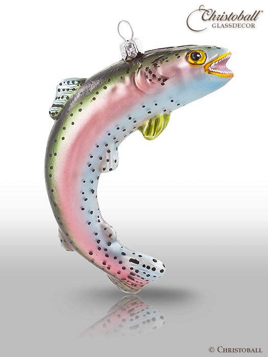 Fisch, Regenbogen-Forelle