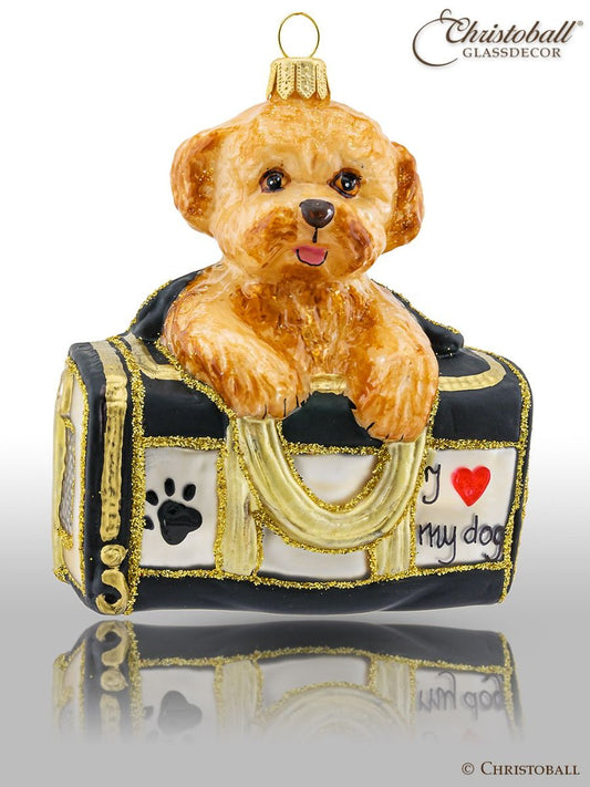 Welpe Goldendoodle in Handtasche