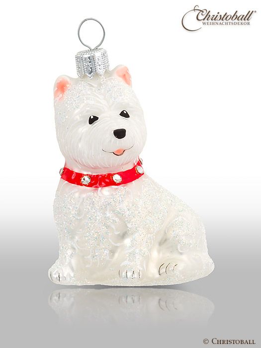 Hund - West Highland Terrier