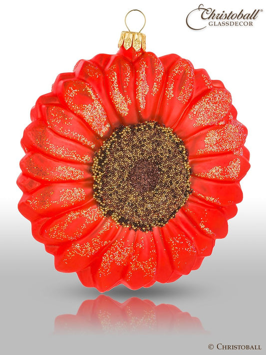 Gerbera-Blüte / Rot-Orange