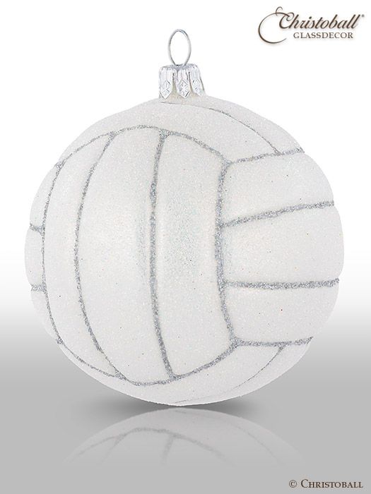 Volleyball Ball